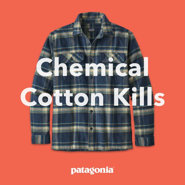 Sabes de qué está hecha tu ropa? Cuidado, ¡el algodón químico mata! -  Revista Ecociencias