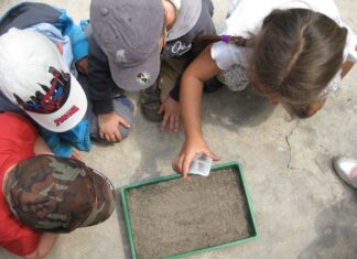BIBLIOTECA | Guía de Educación Ambiental