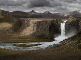 «La educación ambiental no es un ‘extra’, es una herramienta poderosa para enfrentar la crisis ecológica y social que vivimos en Chile”: la mirada de una joven maulina sobre medio ambiente en Chile