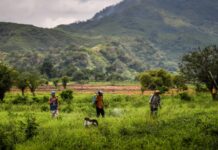 Estudio centrado en el Maule rural revela que exposición a pesticidas afecta la salud mental