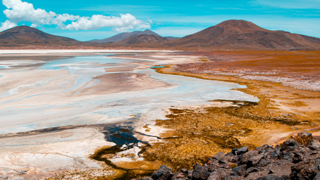 Hallazgo de estromatolitos vivos en el Salar de Atacama revela los ...
