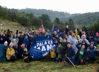 Festival Pala en Mano potencia a Chiloé como territorio clave para la adaptación climática y el almacenamiento de carbono