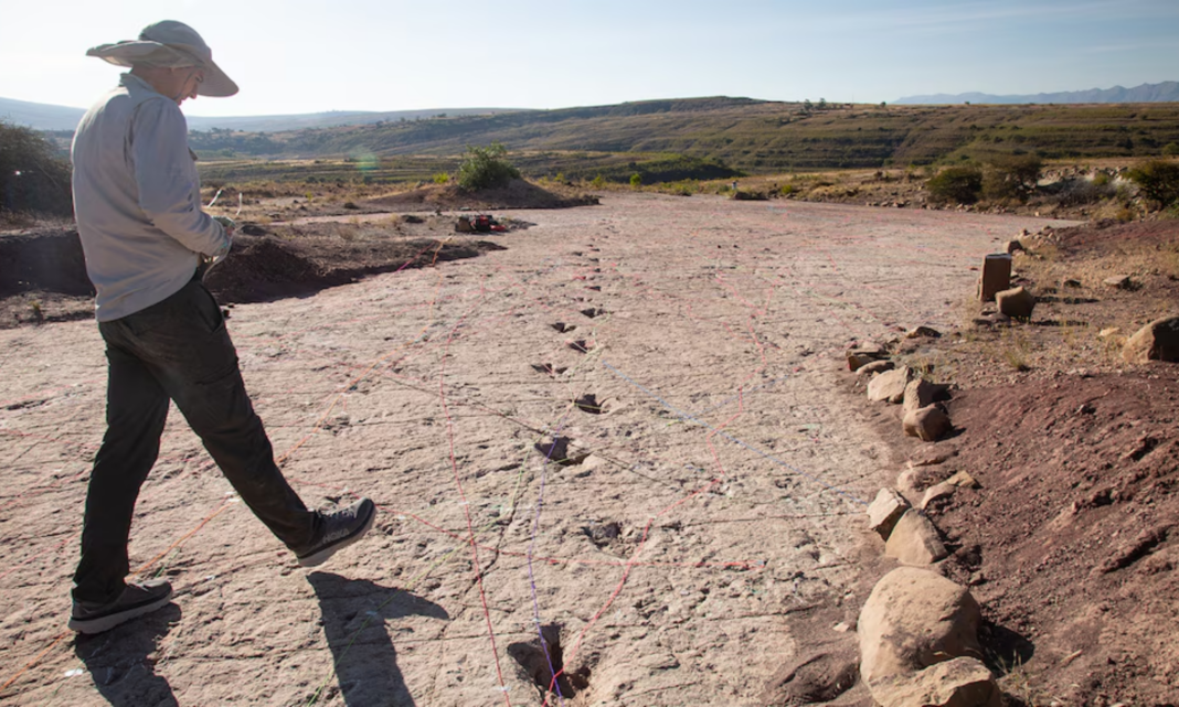 Bolivia revela el mayor yacimiento de huellas de dinosaurios carnívoros ...