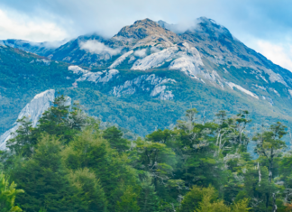 Entre avances y urgencias: las luces del 2025 y los desafíos ambientales globales que enfrenta el 2026