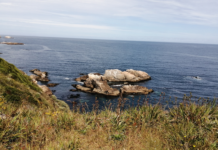 Acuerdo histórico impulsa la creación del Área Marina Protegida de la Península de Hualpén