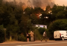 Megaincendios forestales en Chile: un nuevo régimen bajo un clima cambiante