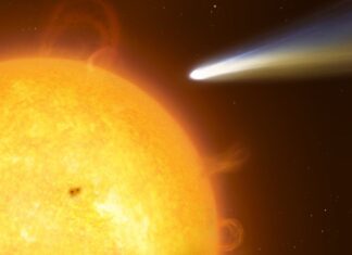 Nuevo cometa descubierto en Chile: C/2026 A1 (MAPS), un posible espectáculo en abril