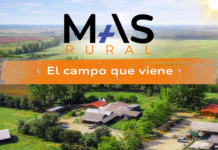 MÁS Rural vuelve al Maule con nueva jornada para acercar innovación y servicios al mundo agrícola