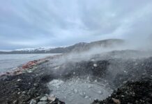 Investigación pionera explora microbiomas extremófilos con potencial de uso biotecnológico en la Antártica
