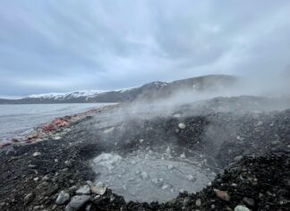 Investigación pionera explora microbiomas extremófilos con potencial de uso biotecnológico en la Antártica