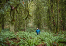 3ª Jornada Chilena de Psicología Ambiental invita a repensar cómo habitamos el mundo para comprender nuestra relación con el entorno