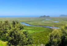 Humedales en Chile: investigación de la UdeC releva su valor biocultural y el rol clave de las comunidades en su protección