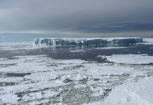 Científicos chilenos participan en Japón en debates clave sobre el futuro de la Antártica