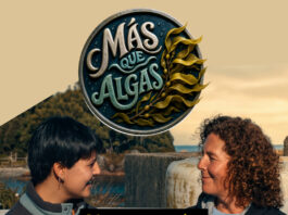 “Más que Algas”: serie web revela la ciencia que hay detrás de las macroalgas chilenas
