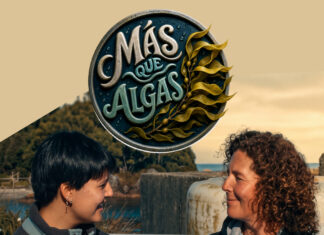 “Más que Algas”: serie web revela la ciencia que hay detrás de las macroalgas chilenas
