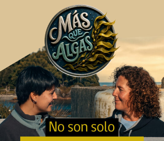“Más que Algas”: serie web revela la ciencia que hay detrás de las macroalgas chilenas