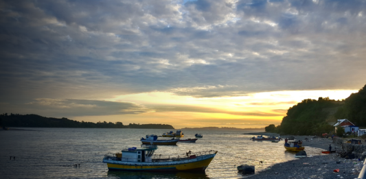 Algas, un aliado invisible