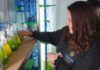 Microalgas vivas para enfrentar la crisis hídrica: startup chilena expande tecnología agrícola con potencial internacional