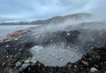 Bacterias extremas contra el cáncer digestivo: Chile y Brasil impulsan innovador proyecto basado en microorganismos de la Antártica y aguas termales
