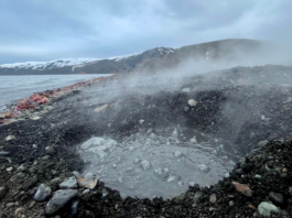 Bacterias extremas contra el cáncer digestivo: Chile y Brasil impulsan innovador proyecto basado en microorganismos de la Antártica y aguas termales