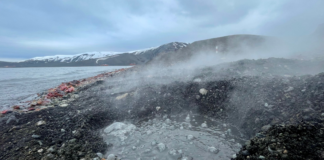 Bacterias extremas contra el cáncer digestivo: Chile y Brasil impulsan innovador proyecto basado en microorganismos de la Antártica y aguas termales