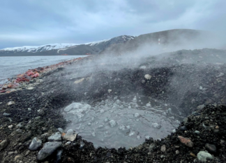 Bacterias extremas contra el cáncer digestivo: Chile y Brasil impulsan innovador proyecto basado en microorganismos de la Antártica y aguas termales