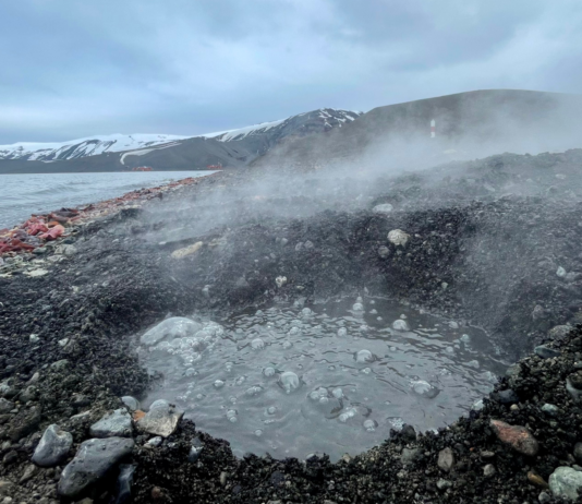 Bacterias extremas contra el cáncer digestivo: Chile y Brasil impulsan innovador proyecto basado en microorganismos de la Antártica y aguas termales