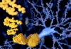 Un análisis de sangre podría transformar el diagnóstico temprano del Alzheimer