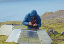 Proyecto científico busca anticipar la llegada de especies invasoras a la Antártica en un escenario de cambio climático