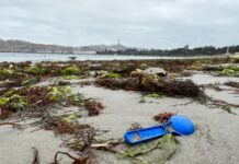 Nuevo estudio chileno revela cómo las lluvias y vientos arrastran basura a nuestras playas
