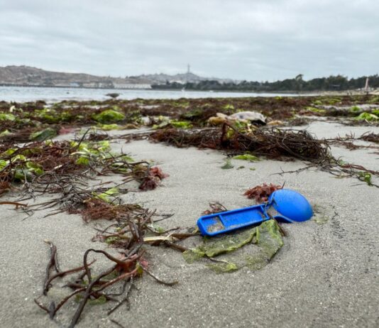 Nuevo estudio chileno revela cómo las lluvias y vientos arrastran basura a nuestras playas