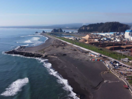 Investigación de alumni UCSC propone monitoreo de calidad del aire para fortalecer la gestión ambiental y la salud pública en Constitución