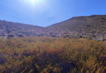 Un trekking patrimonial con aroma a jarilla