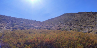 Un trekking patrimonial con aroma a jarilla