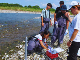 Dra. Maribet Gamboa, jefa del Magíster en Ecología Marina UCSC «La ecología marina ya no es solo una disciplina científica; es una herramienta para proteger el futuro del océano»