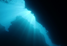 Minería submarina: estudio chileno advierte que la transición energética no debe avanzar a costa de los océanos