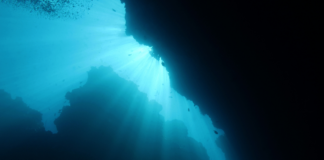 Minería submarina: estudio chileno advierte que la transición energética no debe avanzar a costa de los océanos