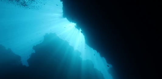 Minería submarina: estudio chileno advierte que la transición energética no debe avanzar a costa de los océanos