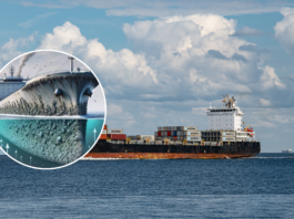 Startup Ciencia impulsa tecnología chilena para prevenir invasiones biológicas marinas en puertos y navieras