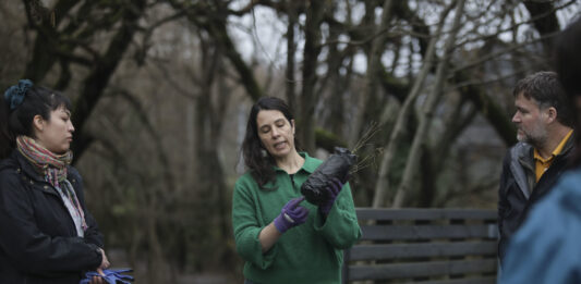 70 árboles para el Mallolafken: CEDEL UC y vecinos reforestan humedal del lago Villarrica