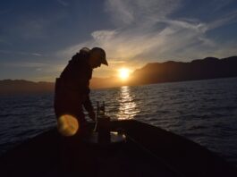 La trampa de la sobreexplotación: por qué la merluza austral no logra recuperarse