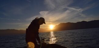 La trampa de la sobreexplotación: por qué la merluza austral no logra recuperarse