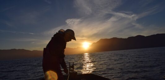 La trampa de la sobreexplotación: por qué la merluza austral no logra recuperarse