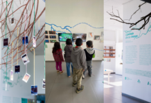 Cohabitar: pedagogías posibles a través del cruce de arte y ecología en una exposición