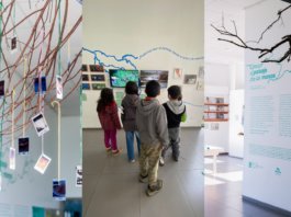 Cohabitar: pedagogías posibles a través del cruce de arte y ecología en una exposición