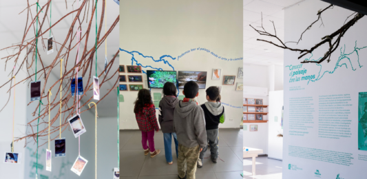 Cohabitar: pedagogías posibles a través del cruce de arte y ecología en una exposición
