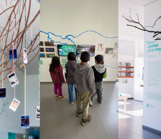 Cohabitar: pedagogías posibles a través del cruce de arte y ecología en una exposición