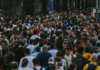 Construir la circulación pública del conocimiento: desafíos para conectar ciencia y territorio