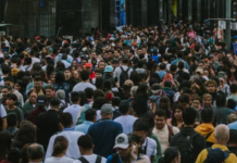 Construir la circulación pública del conocimiento: desafíos para conectar ciencia y territorio