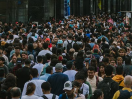 Construir la circulación pública del conocimiento: desafíos para conectar ciencia y territorio